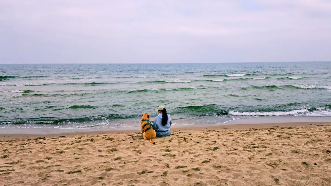 Frau mit Hund am Meer Frau mit Hund am Meer